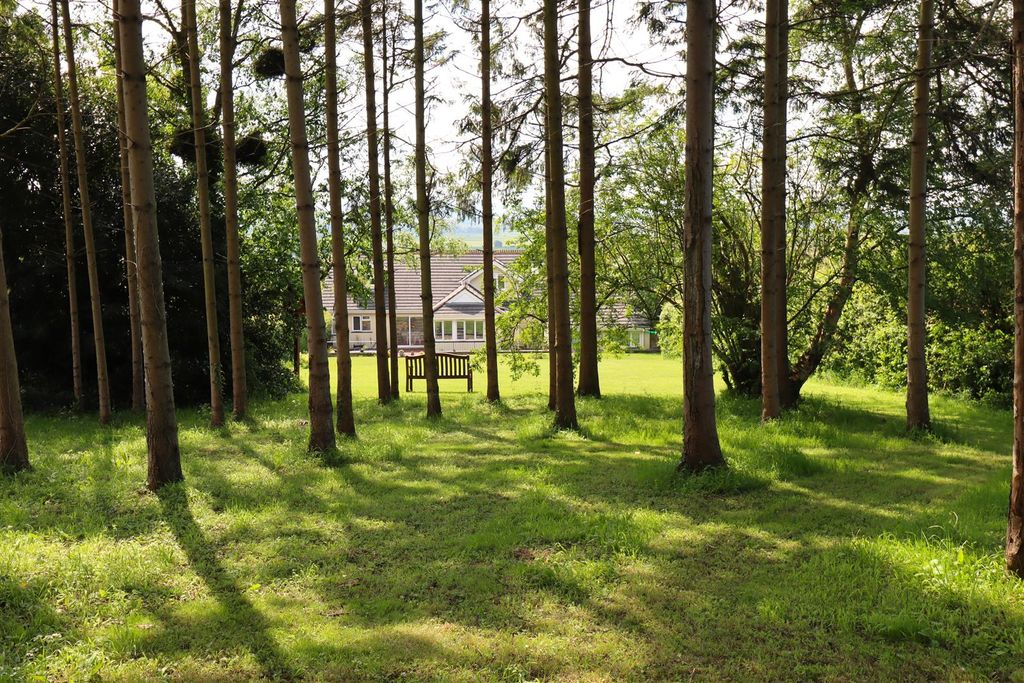 Property photo 3 of 25