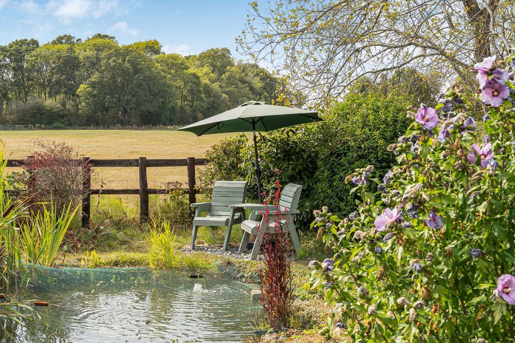 Property photo 2 of 21 Pond