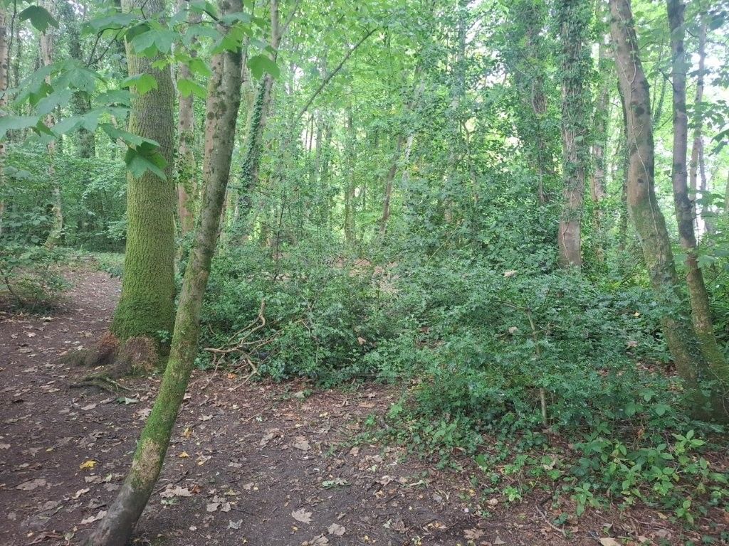 Property photo 3 of 5
