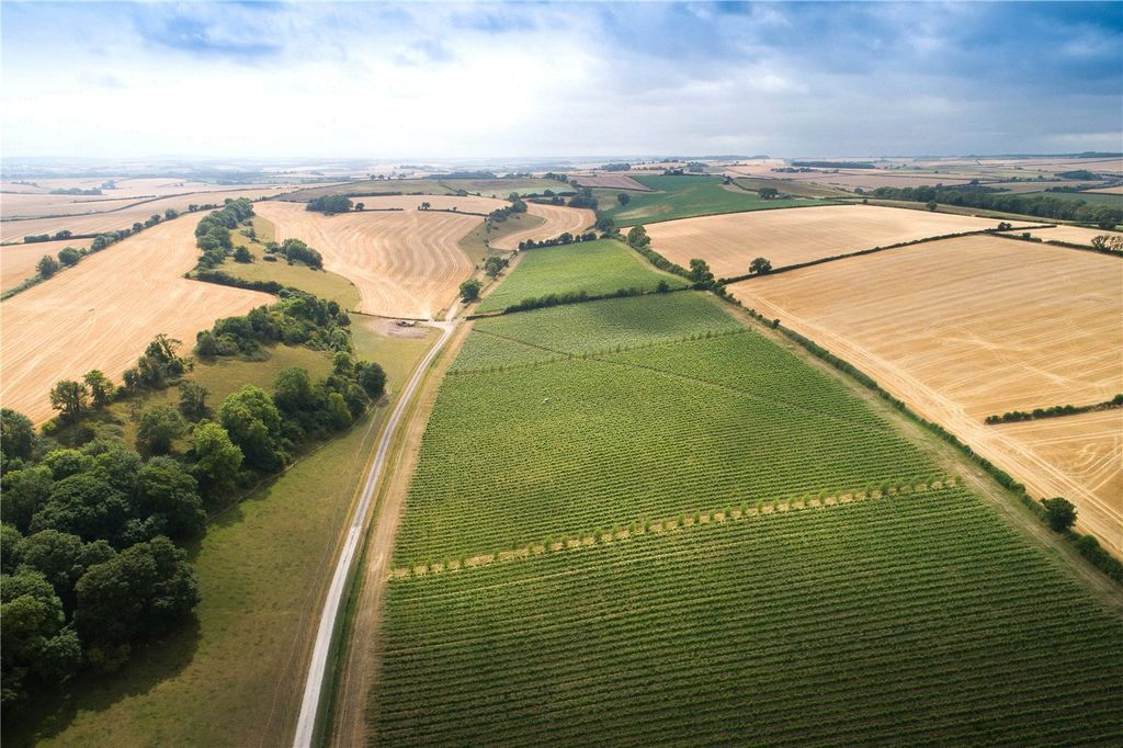 Property photo 1 of 10 Muston Vineyard
