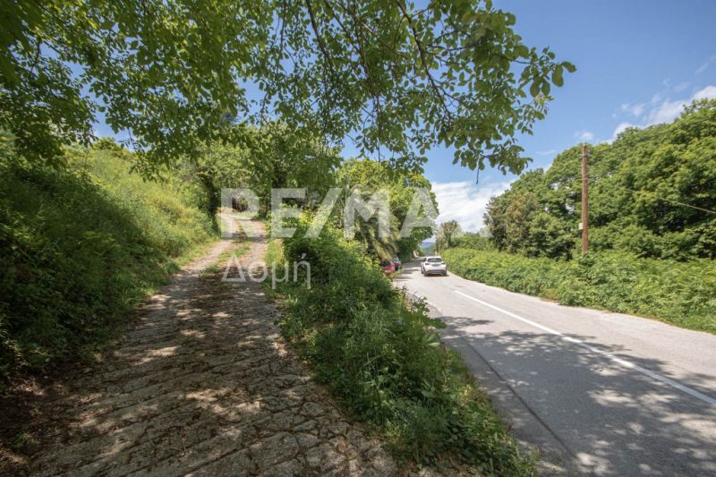 Property photo 3 of 48