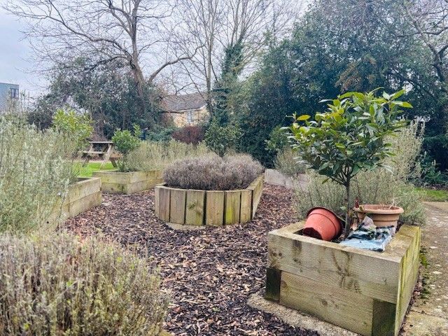 Property photo 3 of 11 Garden