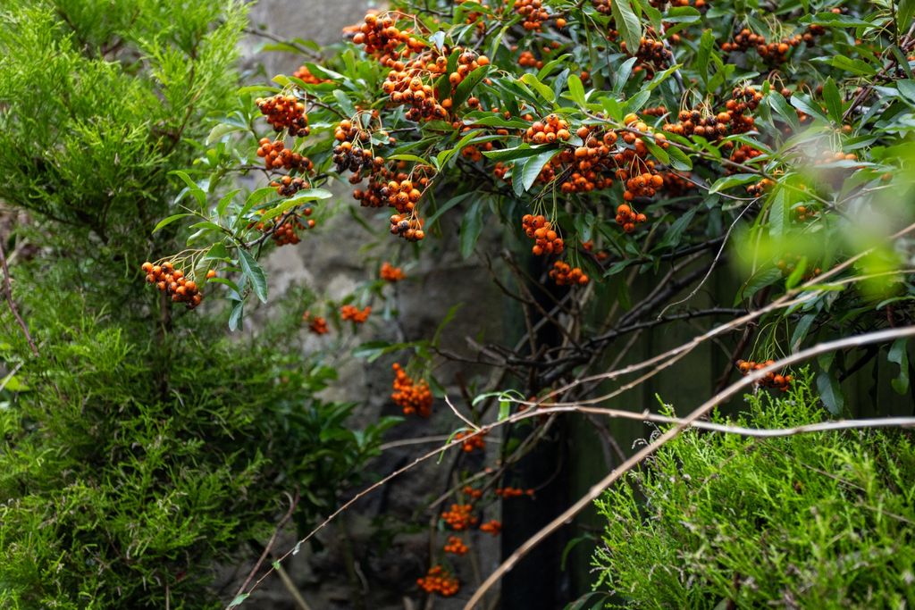 Property photo 3 of 27