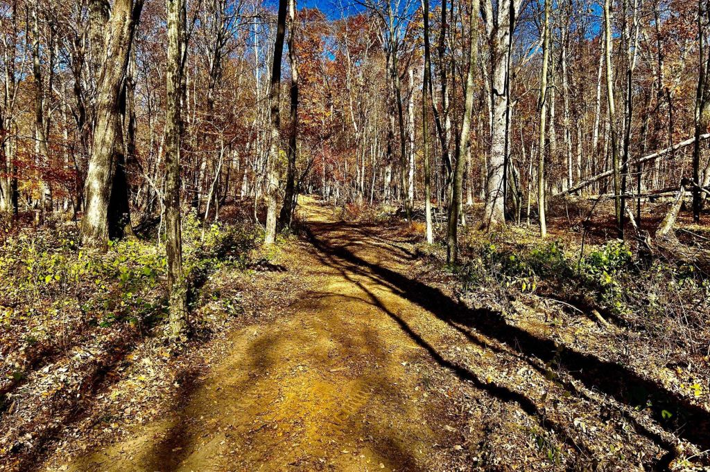 Property photo 1 of 3