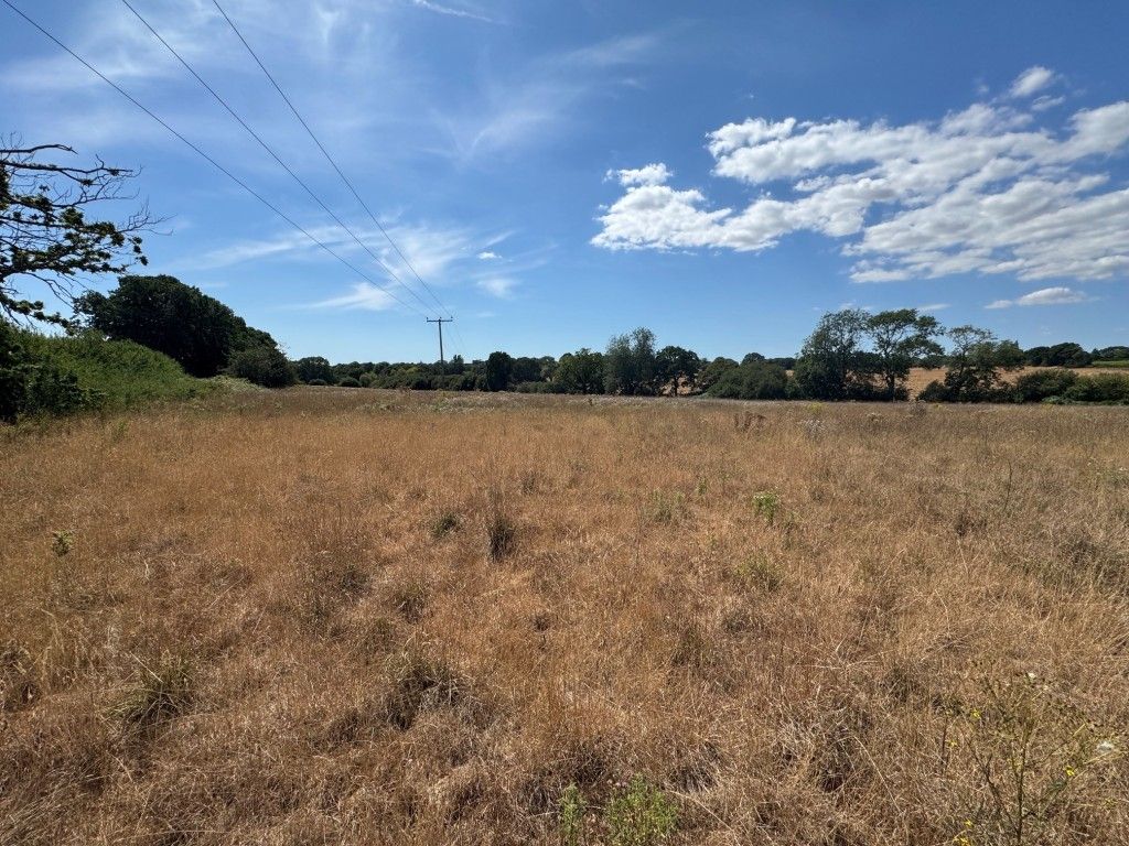 Property photo 2 of 5 View Of The Land 1