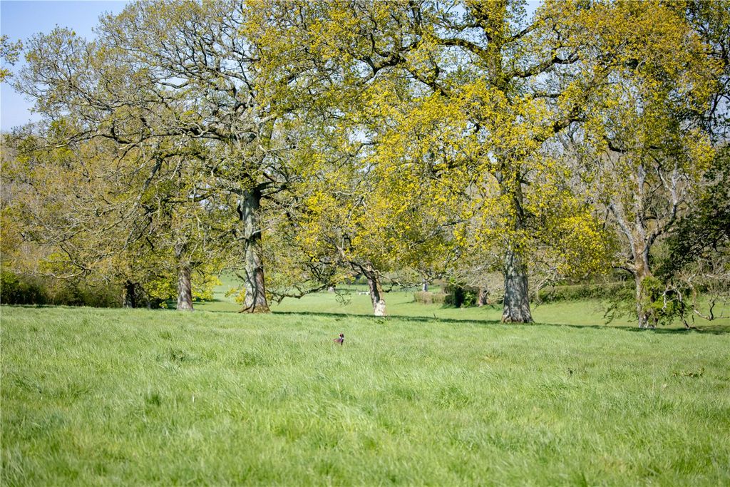 Property photo 2 of 6 Picture No. 02