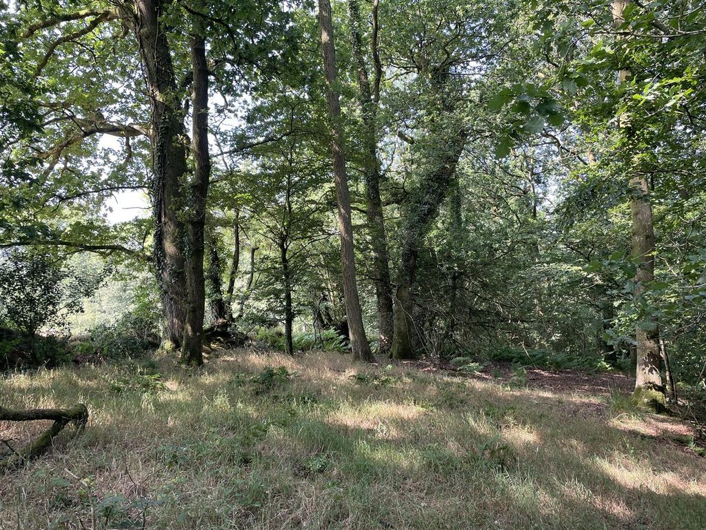 Property photo 3 of 10 Img_0692.Jpg