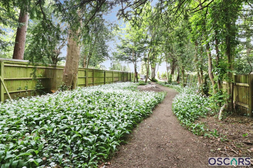 Property photo 3 of 28 Photo 33