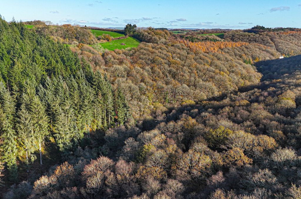 Property photo 2 of 26 Stoodleigh, Seddons