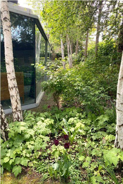 Additional image 13 of 5 bed detached house to rentProvost Road, Belsize Park, London NW3