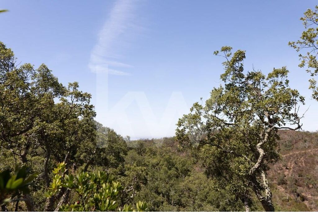 Property photo 1 of 18 Land For Sale In São Francisco Da Serra | 17.125 Hectares Of Protected Montado With Cork Oaks