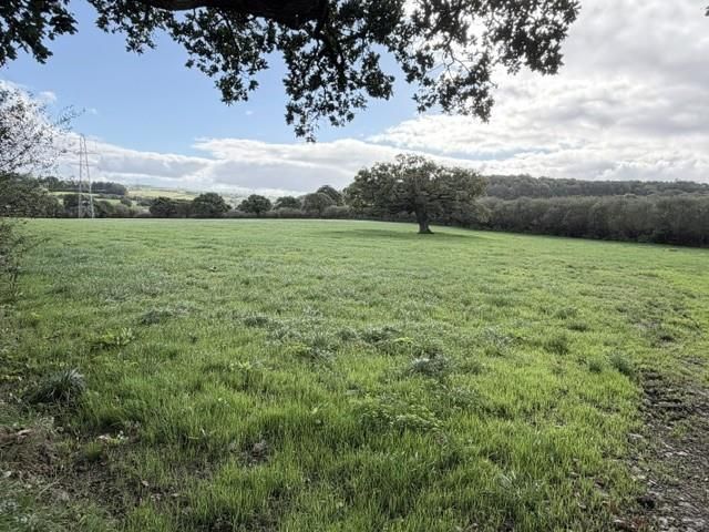 Property photo 1 of 13 Pwntan9.Jpg