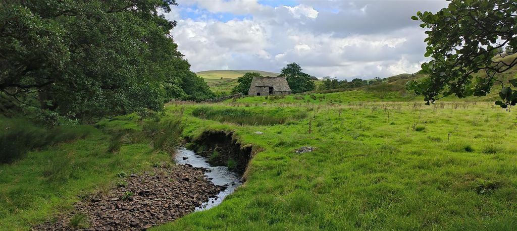 Property photo 3 of 33 Img20250805155606 (1).Jpg