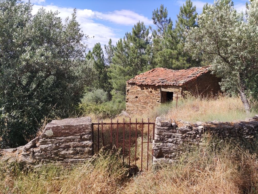 Property photo 3 of 21