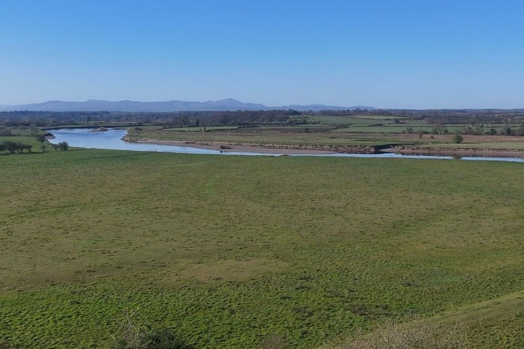 Property photo 2 of 14 Rear View