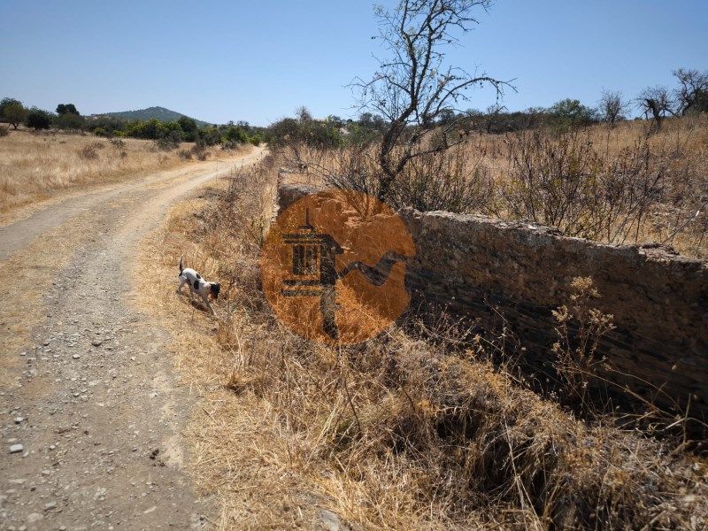 Property photo 1 of 53