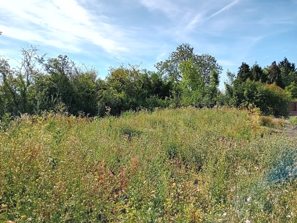 Property photo 3 of 4