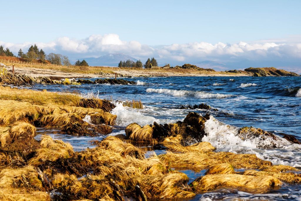 Additional image 22 of 4 bed bungalow for saleKildonan, Saddell, Campbeltown, Argyll And Bute PA28