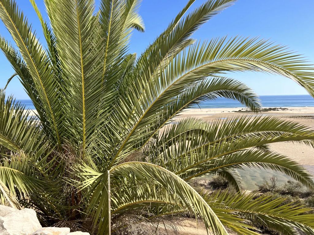 Property photo 2 of 43