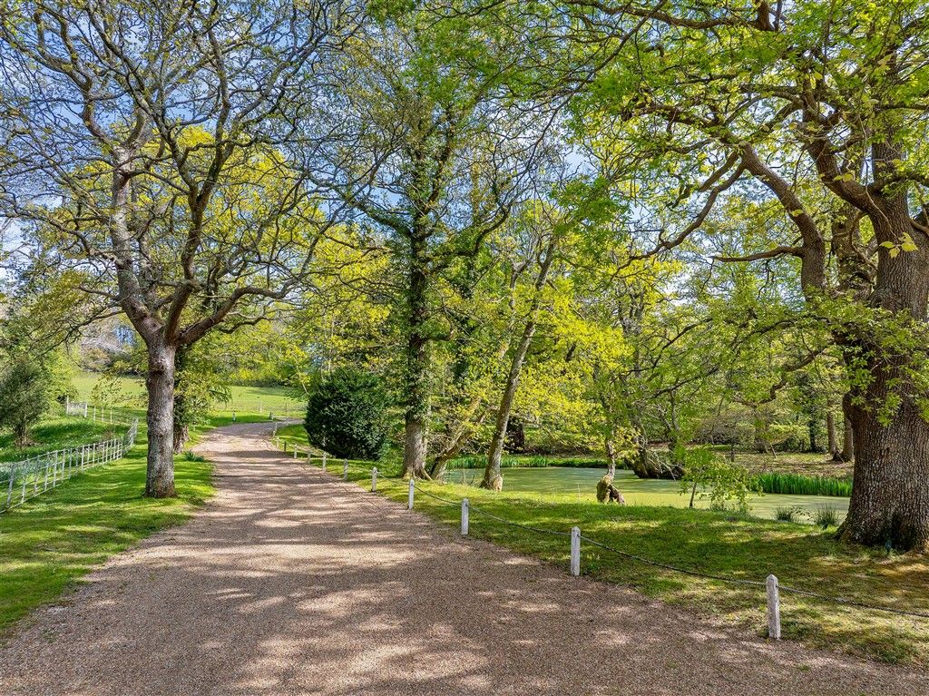 Property photo 3 of 23 Driveway