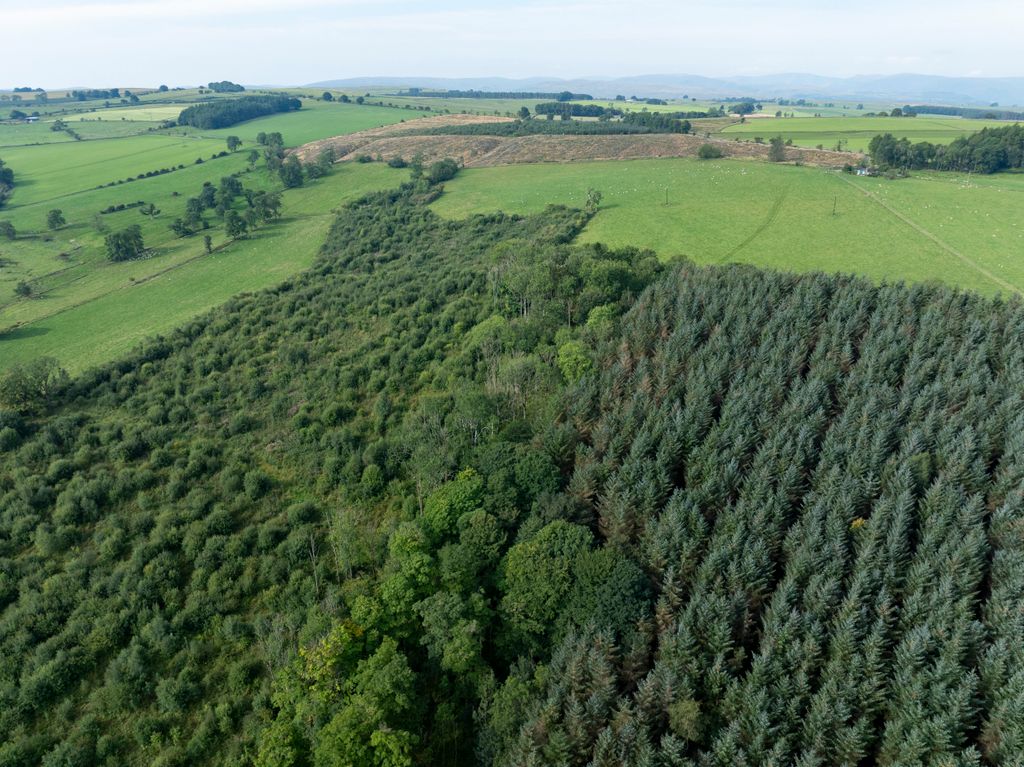 Property photo 3 of 5