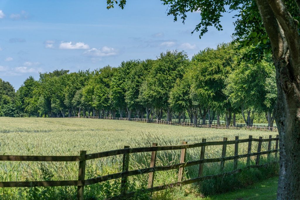 Additional image 30 of 8 bed equestrian for saleLot 1A | Home Farm, Home Farm, Upper Basildon, Reading RG8