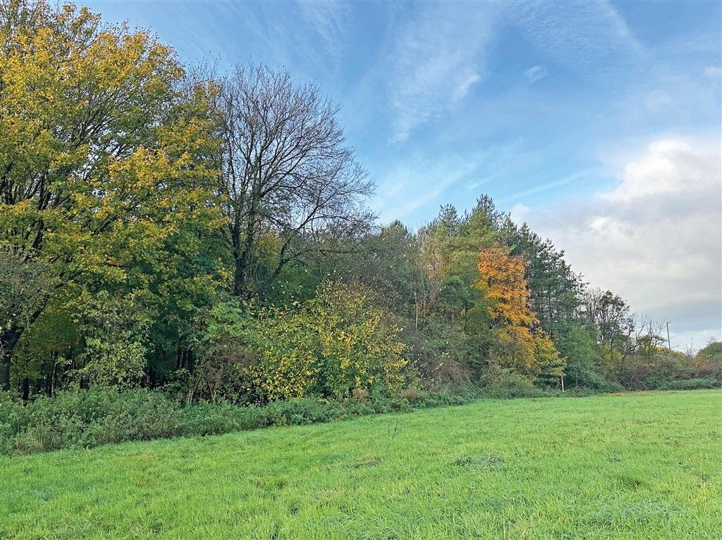 Property photo 3 of 6