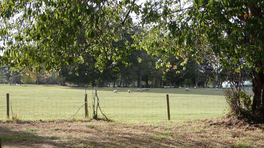 Property photo 3 of 10 View