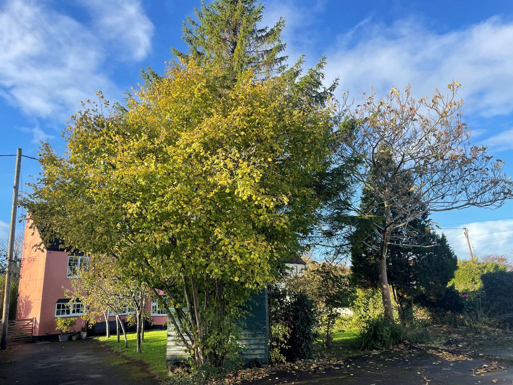 Property photo 2 of 23 View