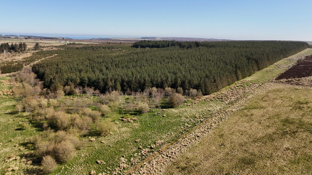 Property photo 3 of 25 Lot 1