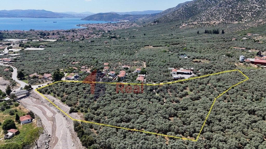 Property photo 1 of 23