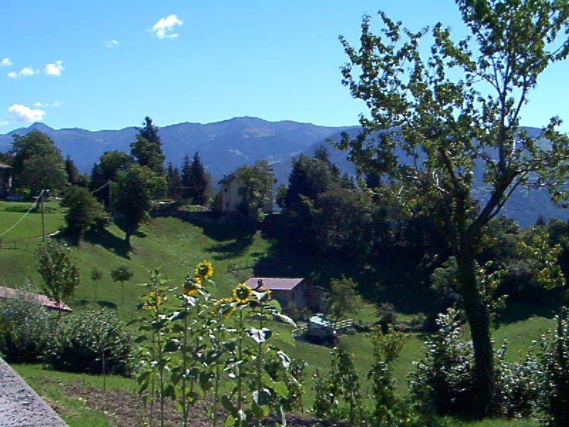 Property photo 3 of 49