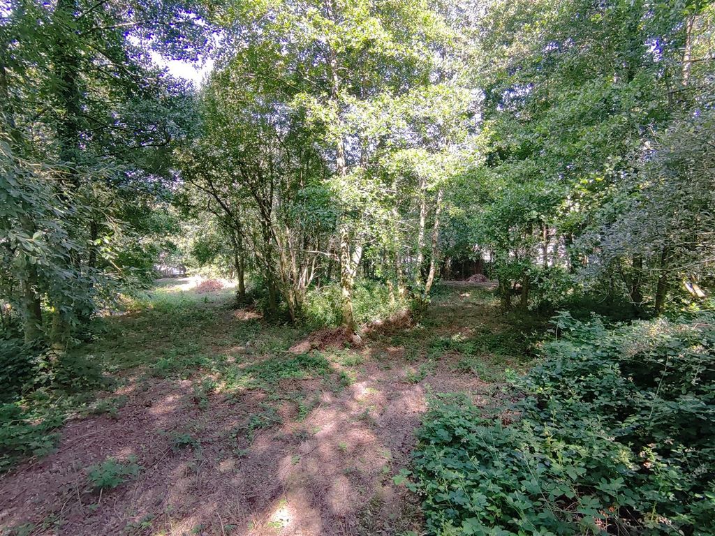 Property photo 1 of 18 Hoverx1_0497.Jpg