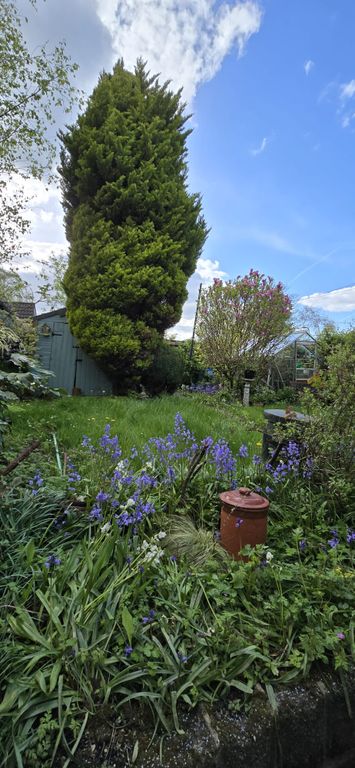 Property photo 3 of 3
