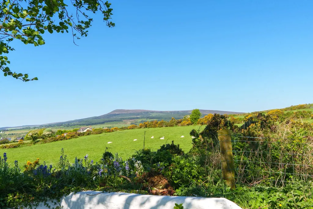 Additional image 4 of 4 bed cottage for saleMount View Cottage, St Marks Road, St Marks IM4