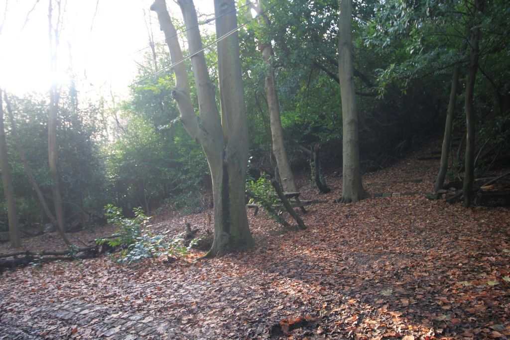 Property photo 3 of 4 Img_8935.Jpg