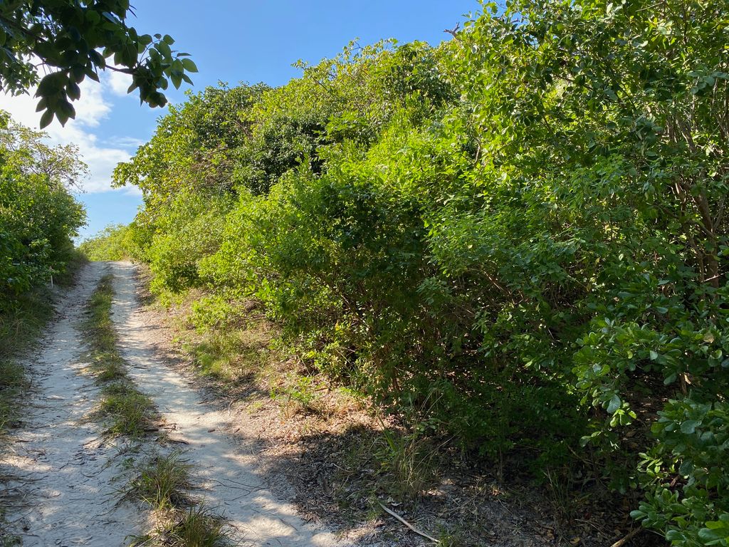 Property photo 3 of 6