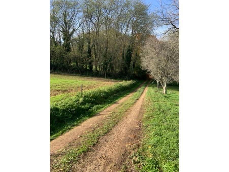 Property photo 3 of 20