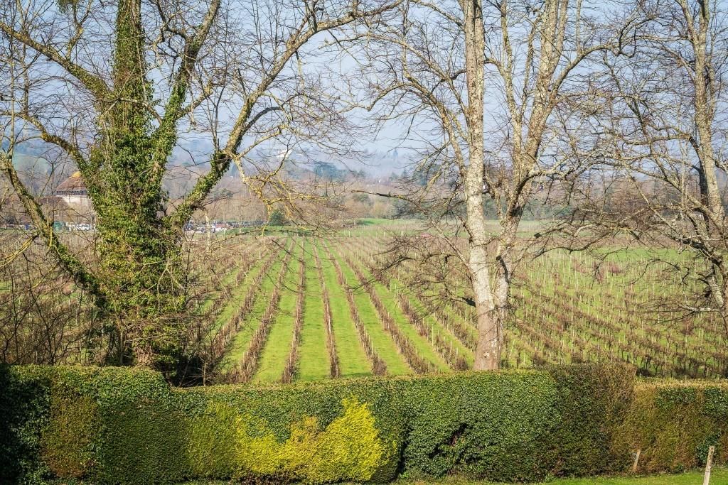 Additional image 4 of 5 bed detached house for saleCalvert Road, Dorking RH4