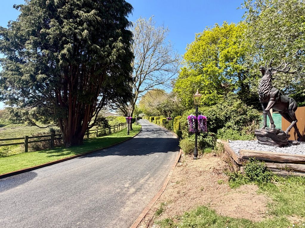 Property photo 3 of 46