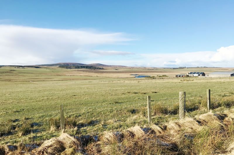 Land for saleRiver View, Plot 5F, Olgrinmore, Halkirk KW126Xj KW12 photo 5