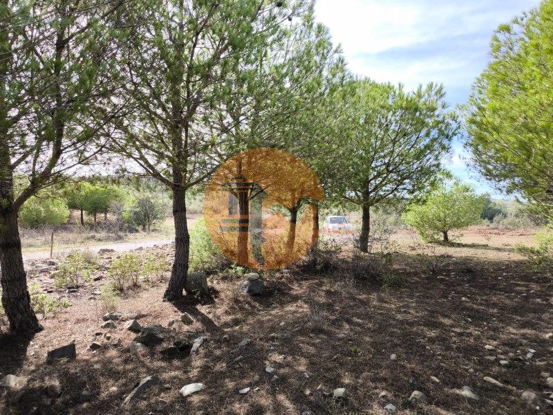 Property photo 1 of 33