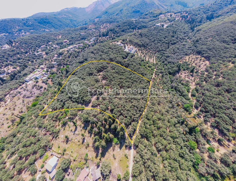 Property photo 2 of 8 Land