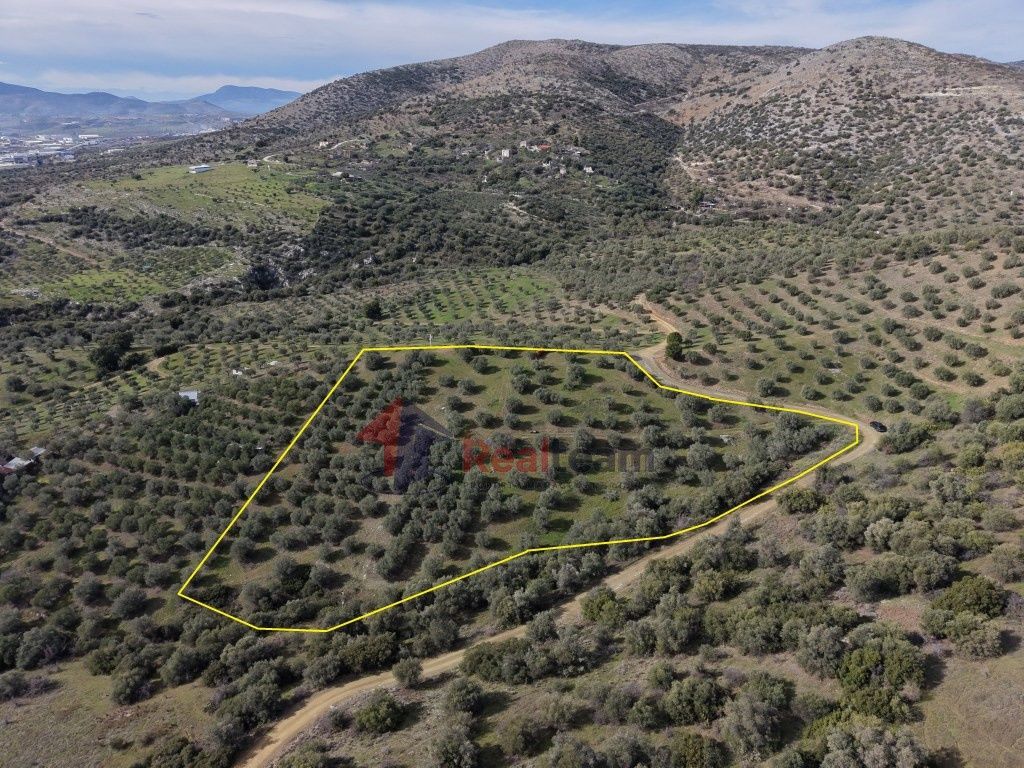 Property photo 1 of 28