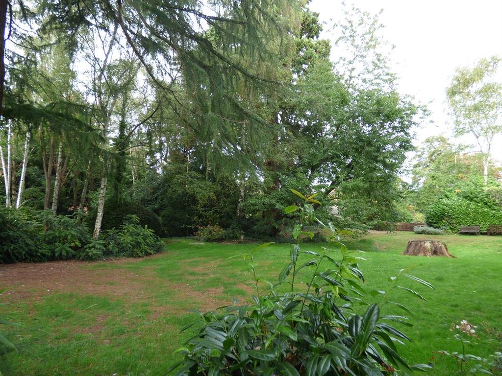 Property photo 3 of 9 Photo 23