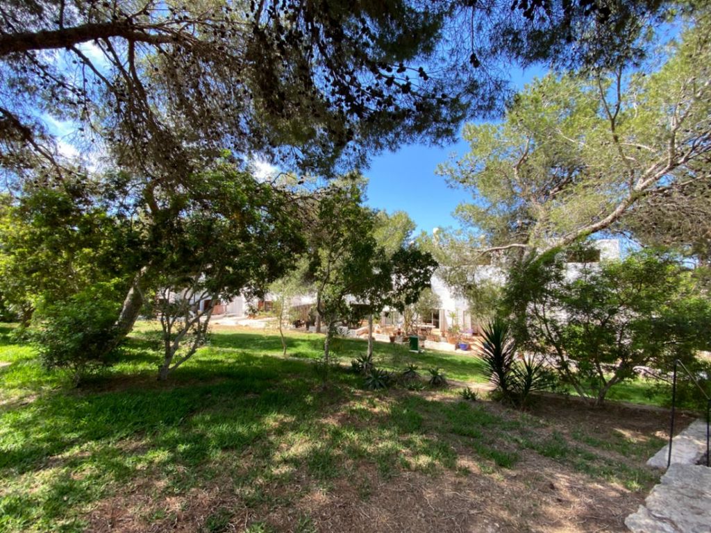 Property photo 3 of 32