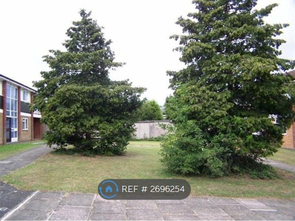 Property photo 3 of 11