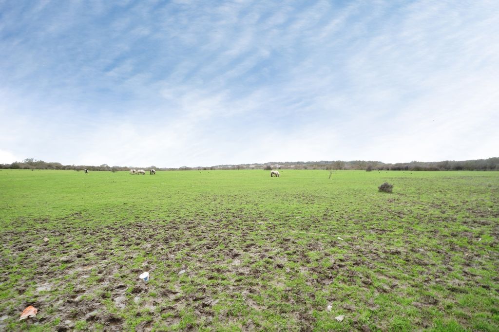 Property photo 2 of 14 Pbox-Img.Jpg