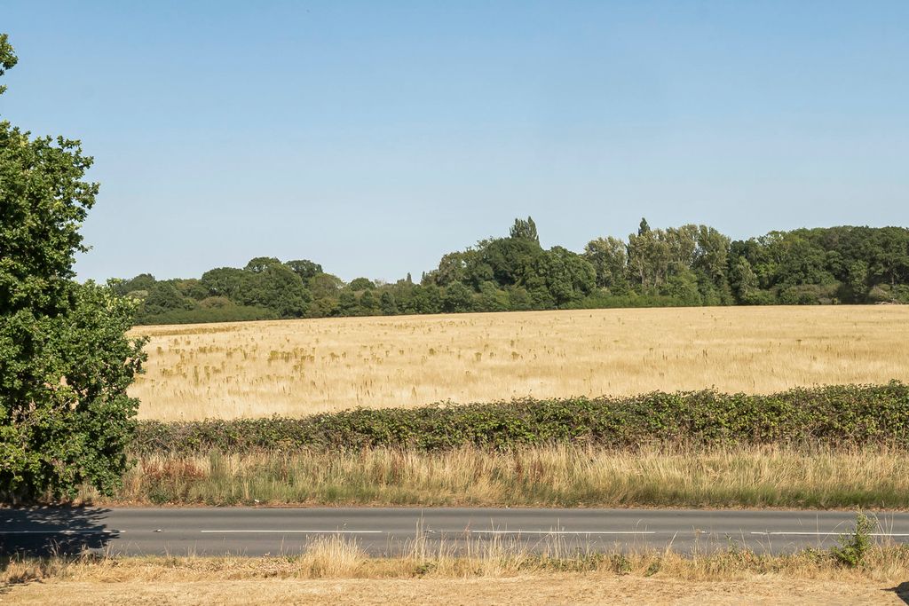 Property photo 2 of 19 16_87128.Jpg