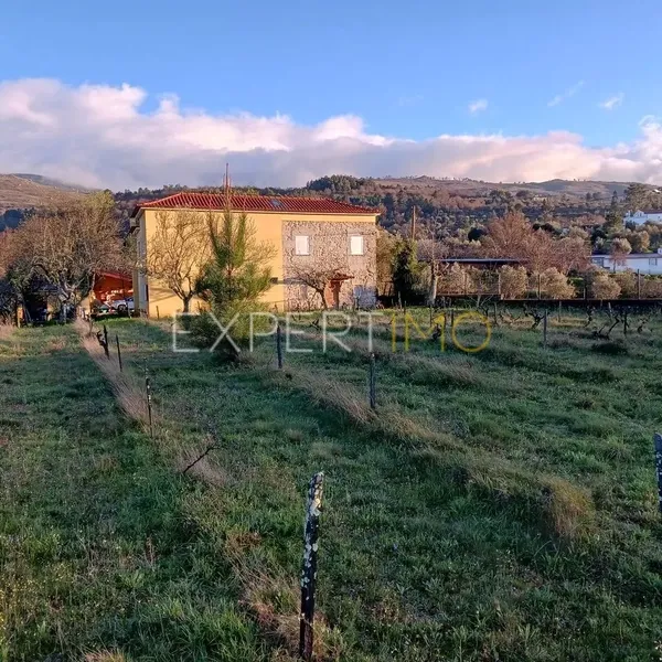 Property photo 2 of 65 Img 1